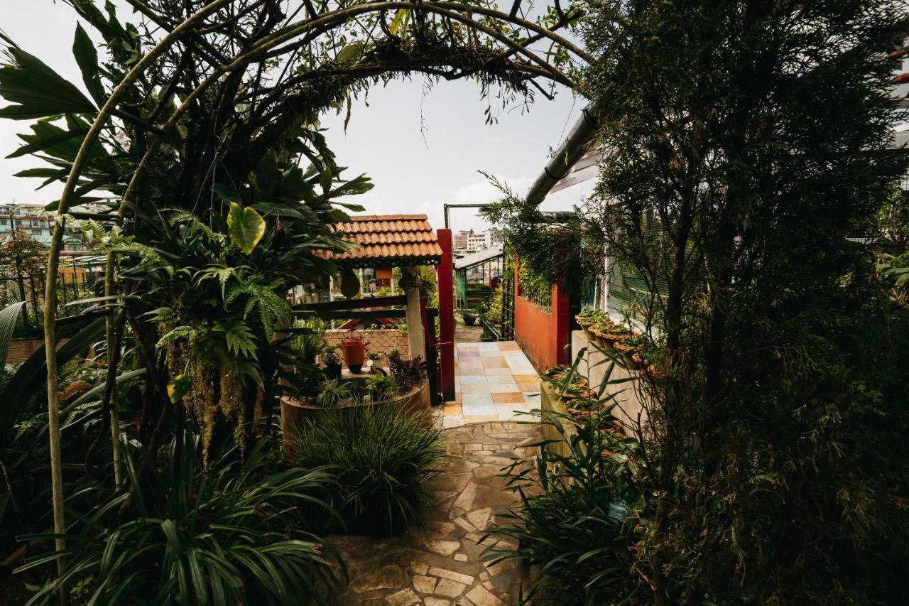 Rock Cliff Home Stay Шиллонг Экстерьер фото